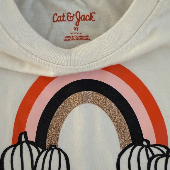 2T Halloween Clothing Bundle - Picture 7 of 9